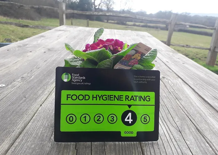 Moaps Farm B&B Support Small Business, Welcome, Check In From 5 Pm