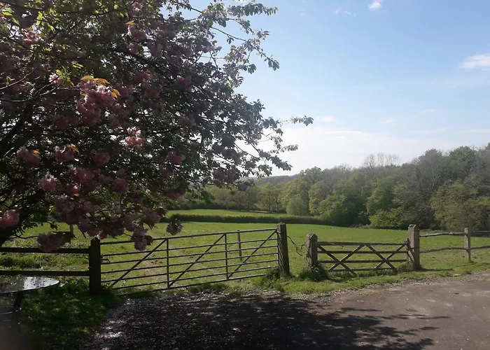 Moaps Farm B&B Support Small Business, Welcome, Check In From 5 Pm