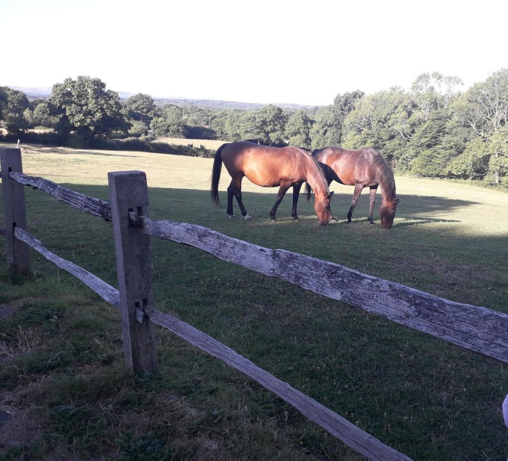 Moaps Farm Support Small Business, Welcome, Check In From 5 Pm Danehill