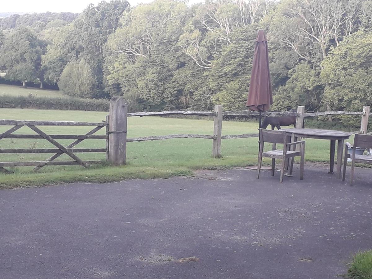 Moaps Farm Support Small Business, Welcome, Check In From 5 Pm Danehill