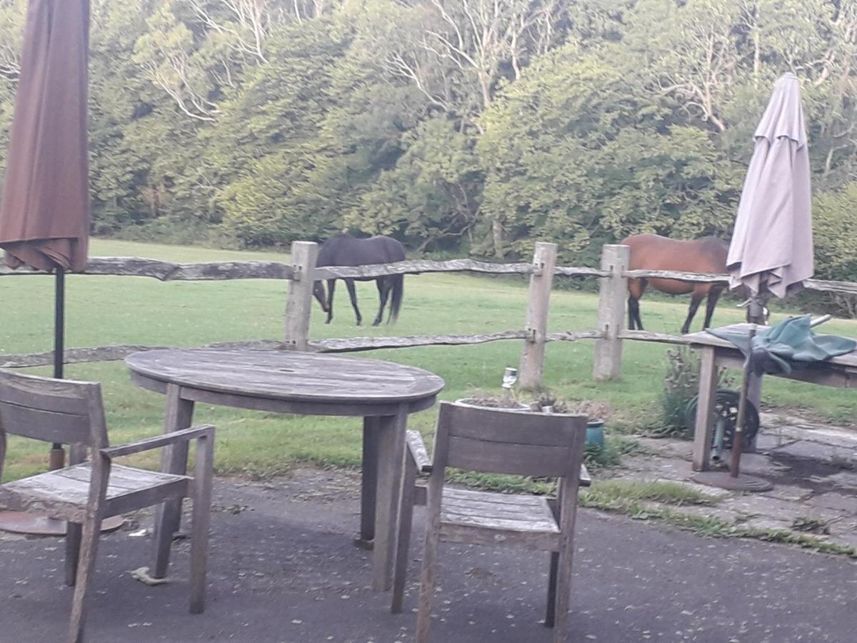 Moaps Farm Support Small Business, Welcome, Check In From 5 Pm Bed & Breakfast Danehill