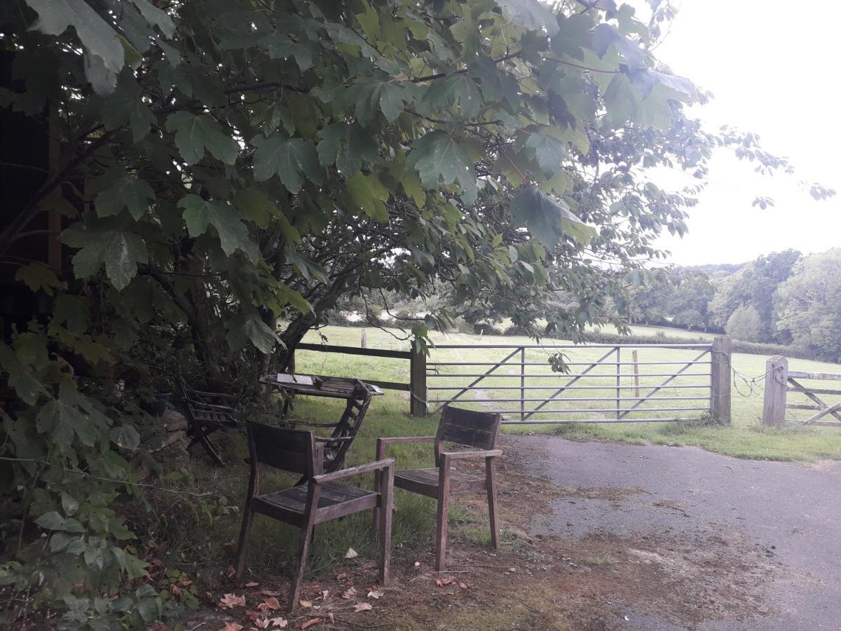 Moaps Farm Support Small Business, Welcome, Check In From 5 Pm 4* Danehill