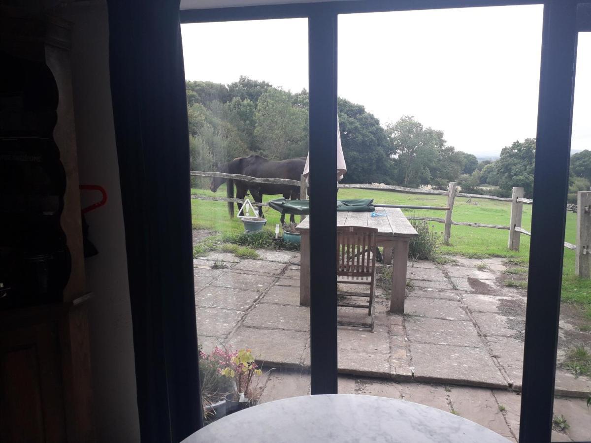 Moaps Farm Support Small Business, Welcome, Check In From 5 Pm 4* Danehill